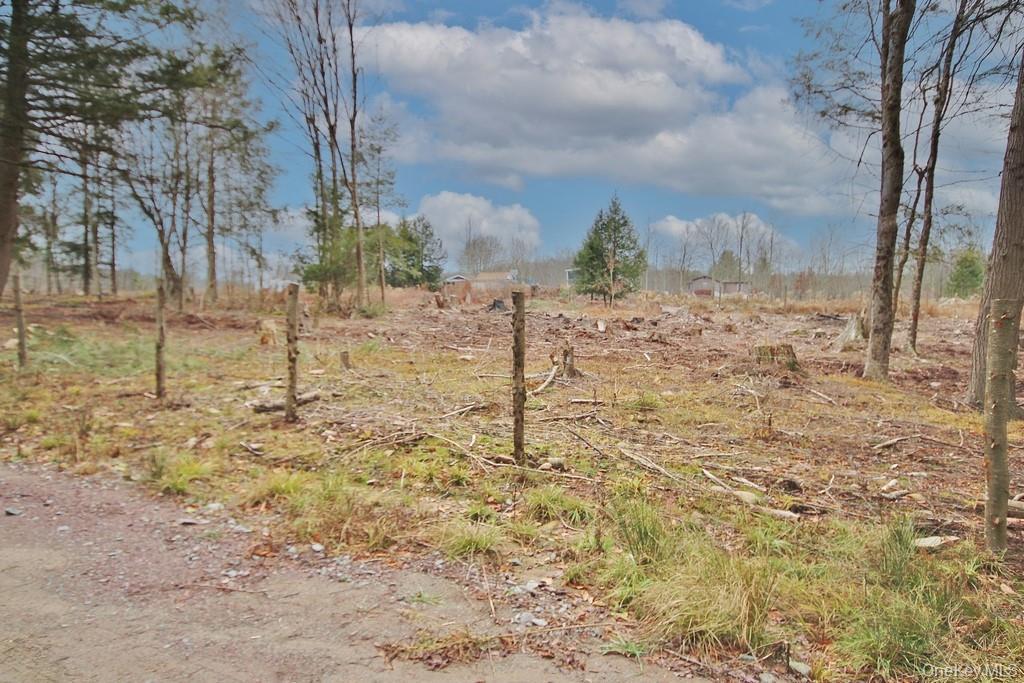 Single Family Dahlia  Sullivan County, NY 12758, MLS-939833-41