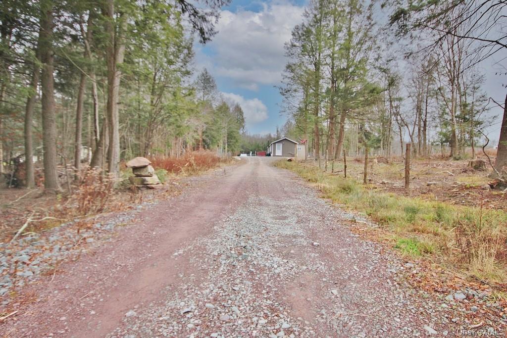 Single Family Dahlia  Sullivan County, NY 12758, MLS-939833-42