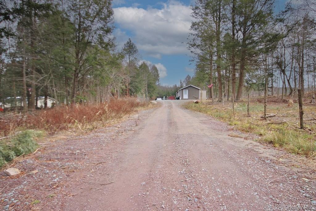 Single Family Dahlia  Sullivan County, NY 12758, MLS-939833-43