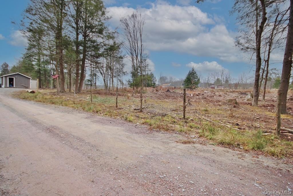 Single Family Dahlia  Sullivan County, NY 12758, MLS-939833-44