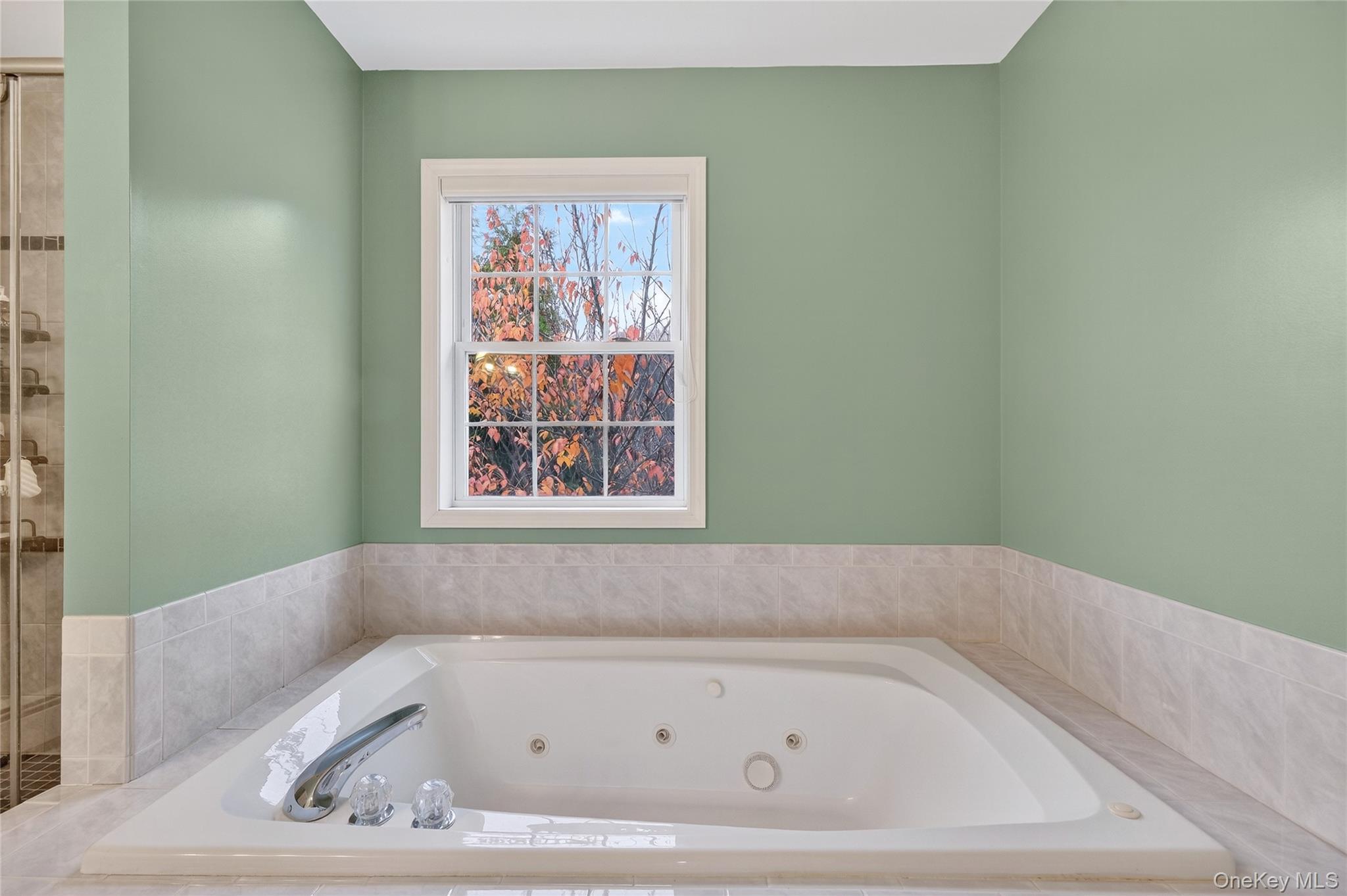 Single Family Pewter Orange County, NY 10918, MLS-939836-30