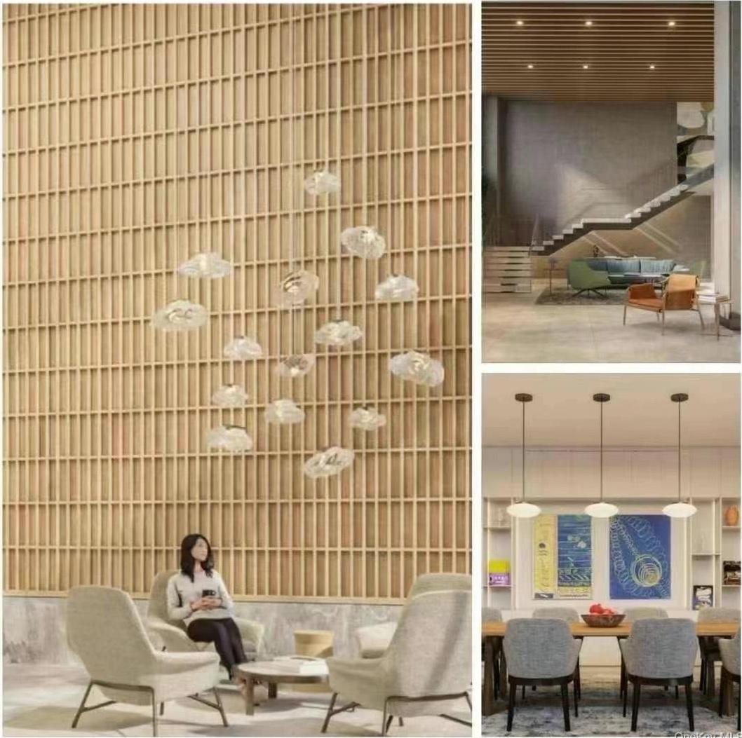 Condo 40  Queens, NY 11354, MLS-939938-6