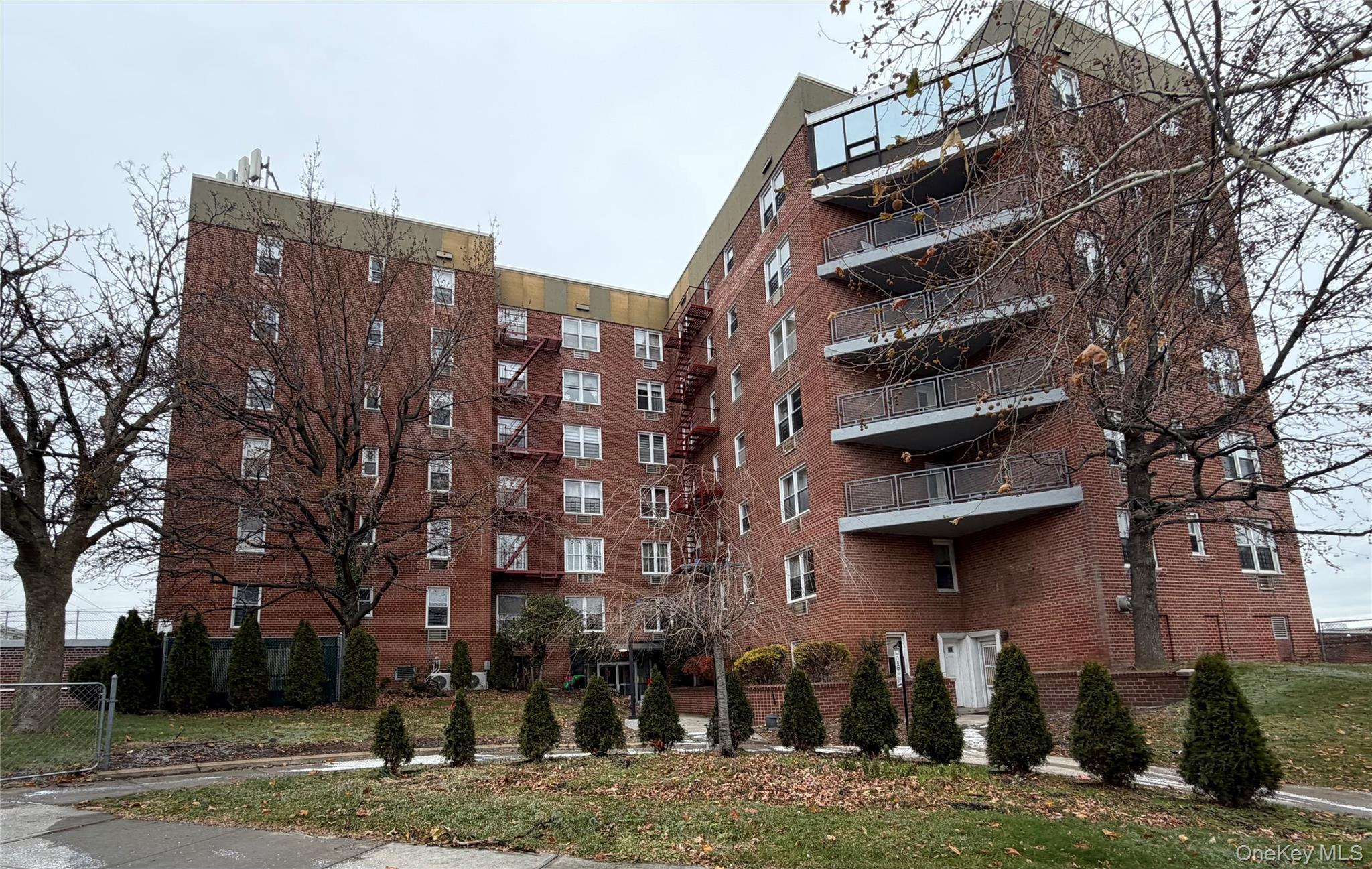 Coop Cross Island  Queens, NY 11357, MLS-939965-25