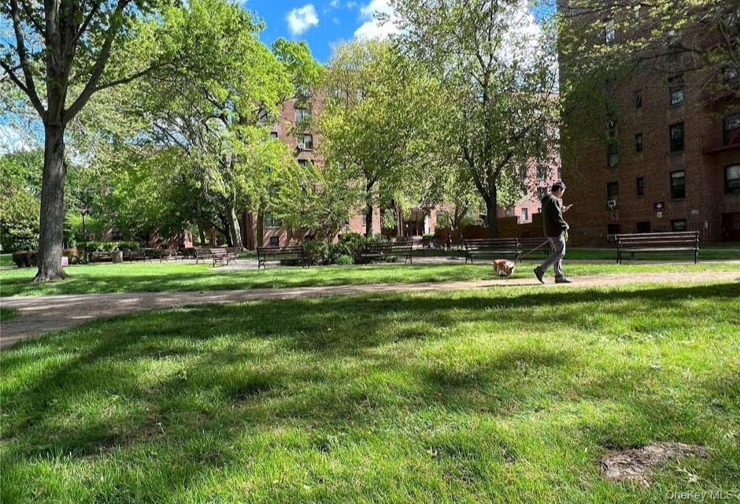 Coop 72  Queens, NY 11367, MLS-940118-14