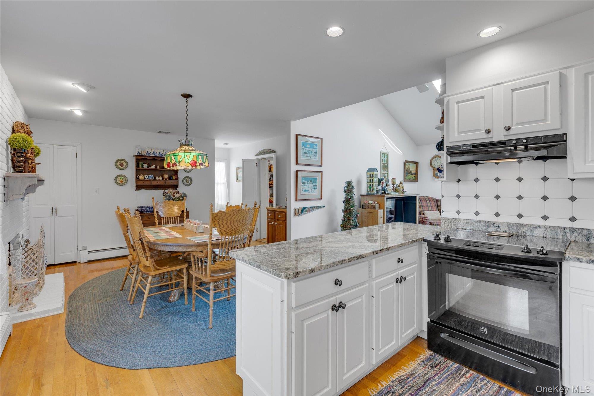 Single Family Catherine Suffolk County, NY 11731, MLS-940119-8