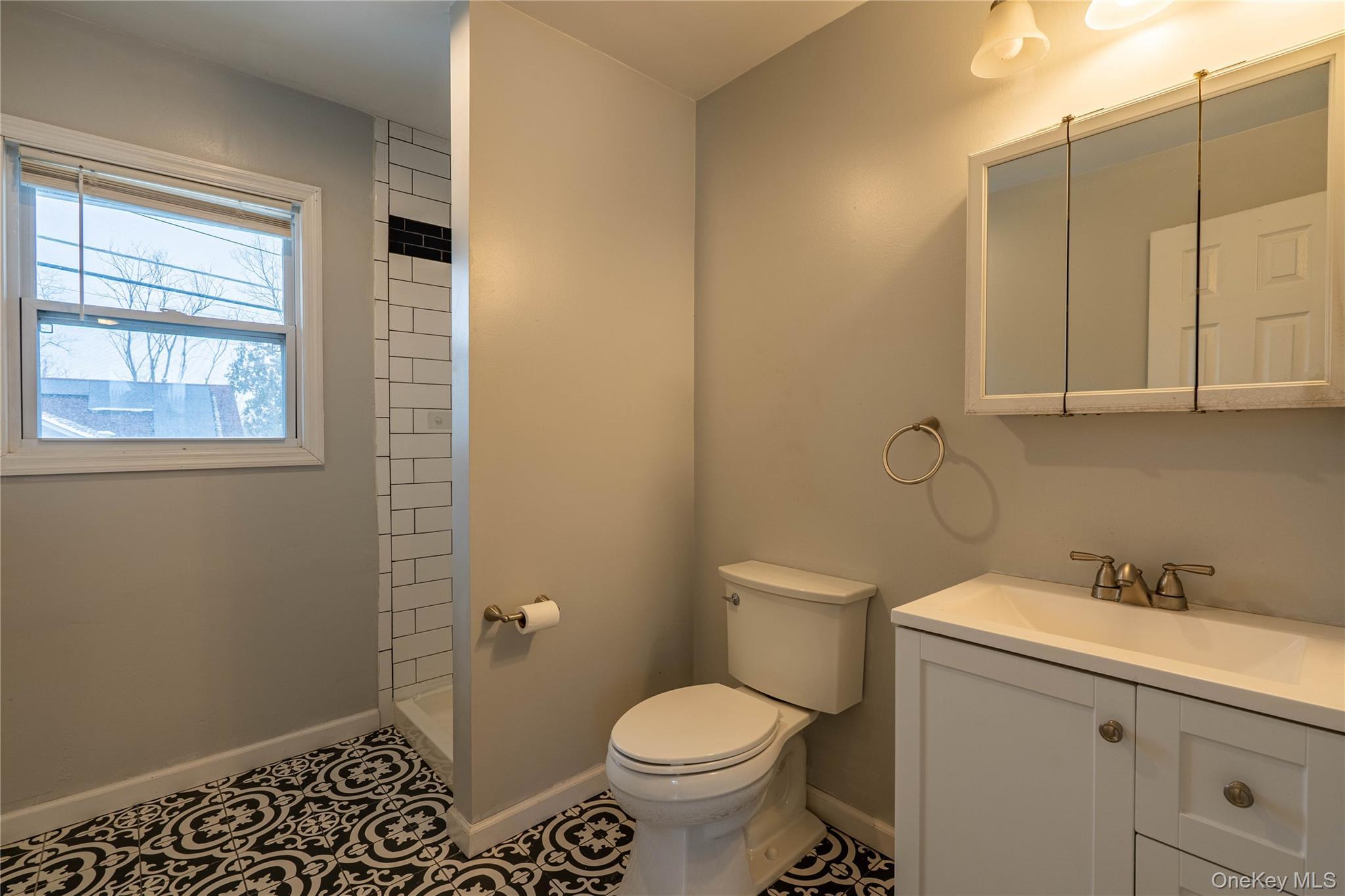 Single Family Briarwood  Orange County, NY 12550, MLS-940122-14