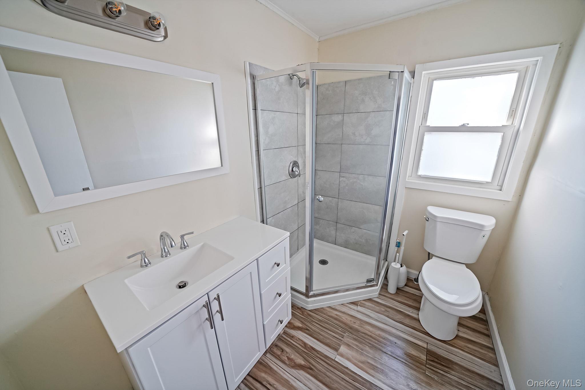 Single Family Tower  Suffolk County, NY 11782, MLS-940137-21