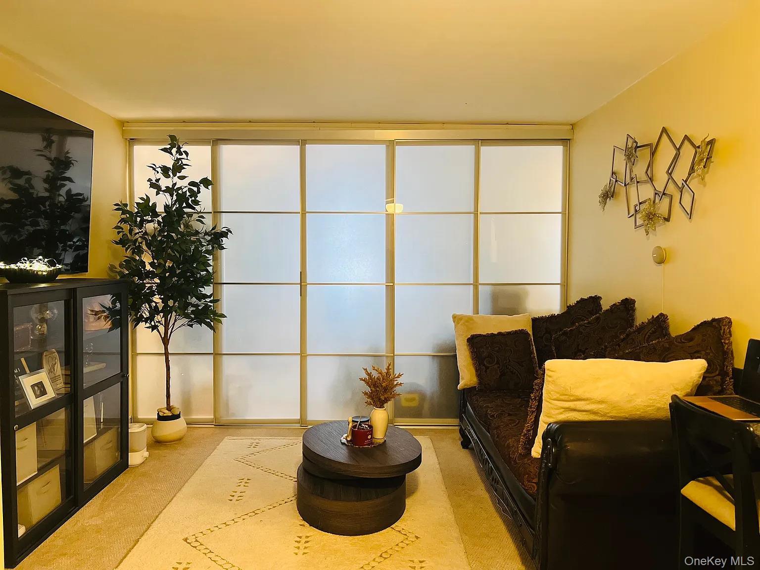 Apartment Little Neck Parkway  Queens, NY 11362, MLS-940201-16