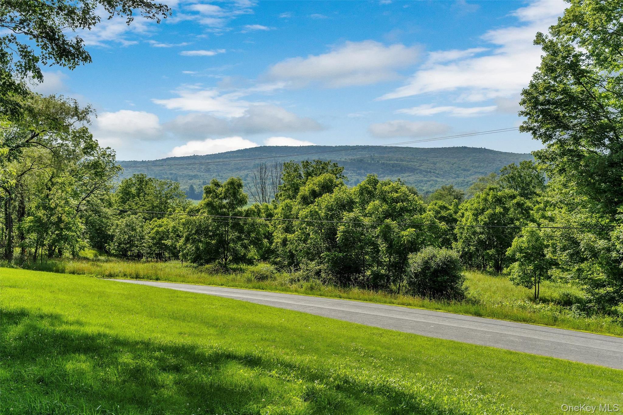 Single Family South  Sullivan County, NY 12790, MLS-940353-24