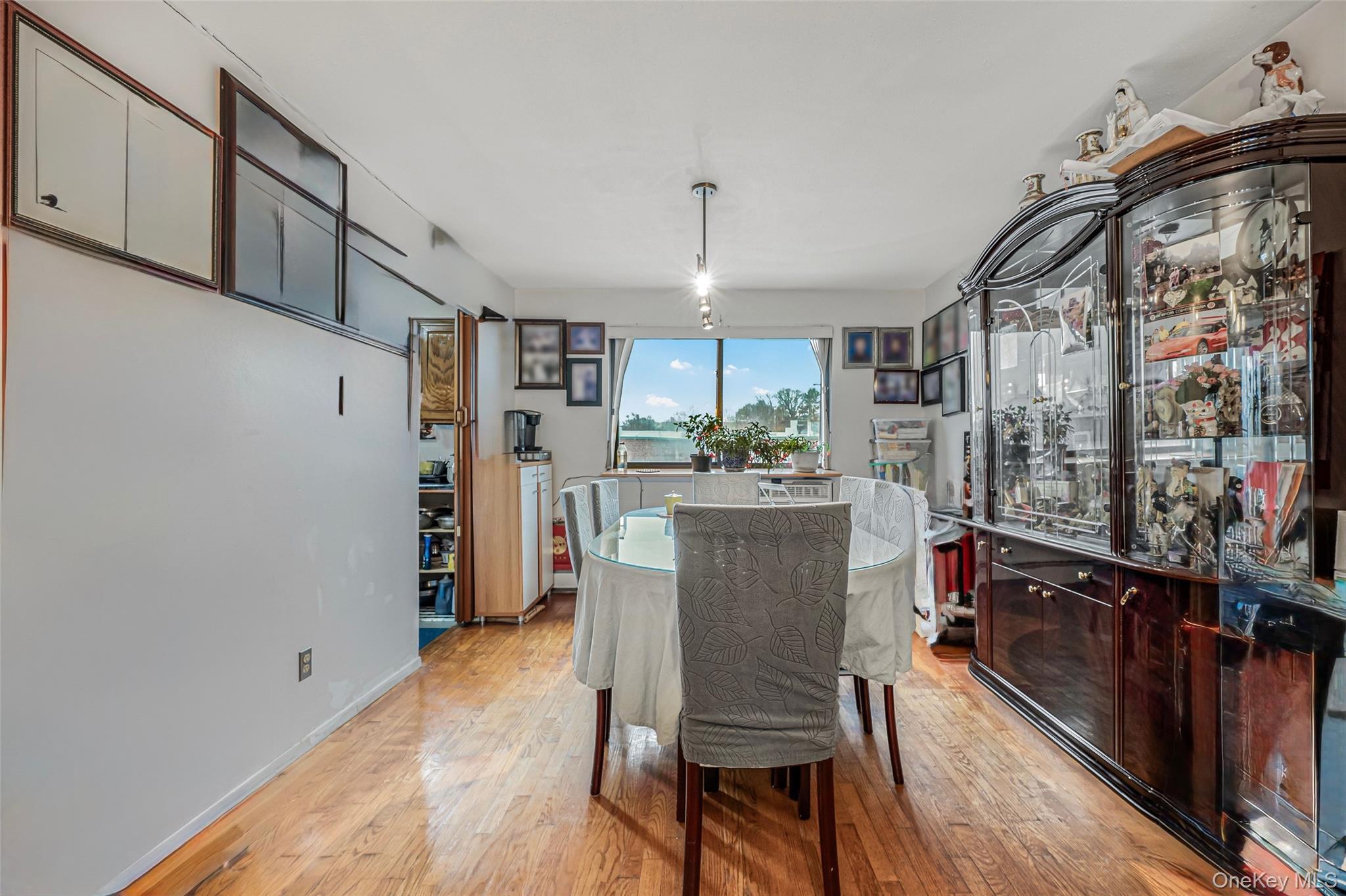 Condo Calamus  Queens, NY 11373, MLS-940539-7