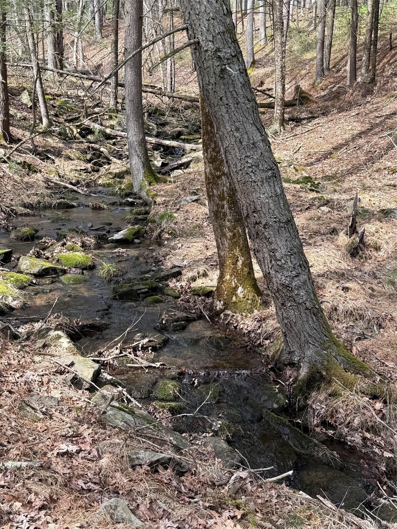 Single Family State Route 97  Sullivan County, NY 12764, MLS-940651-30