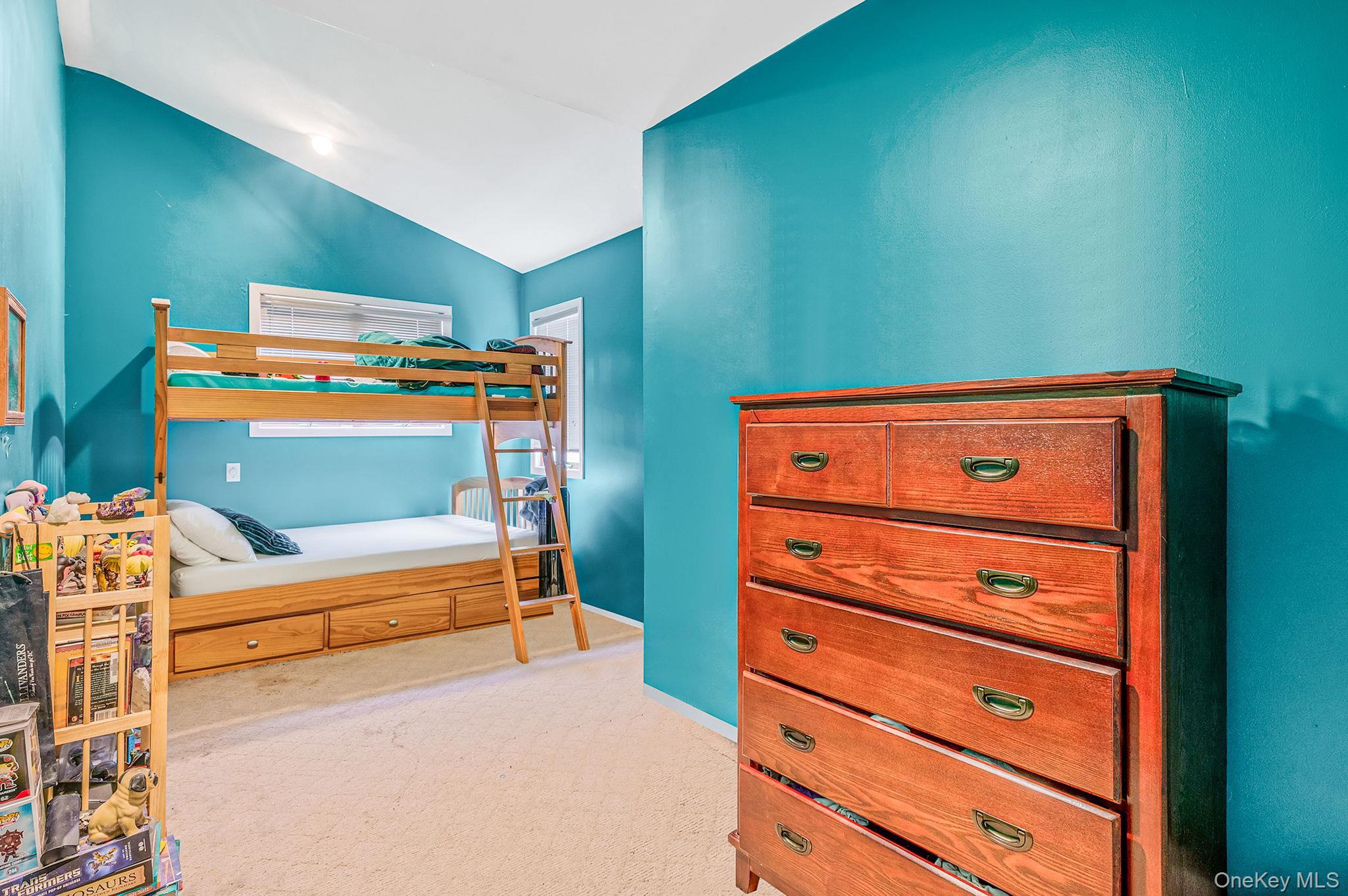 Single Family Central Park Nassau County, NY 11803, MLS-940654-13