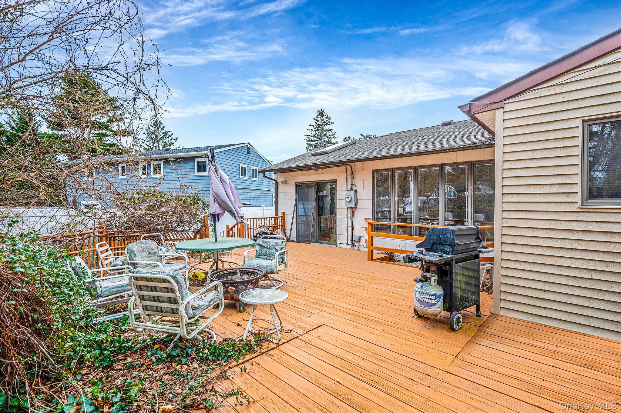 Single Family Central Park Nassau County, NY 11803, MLS-940654-4