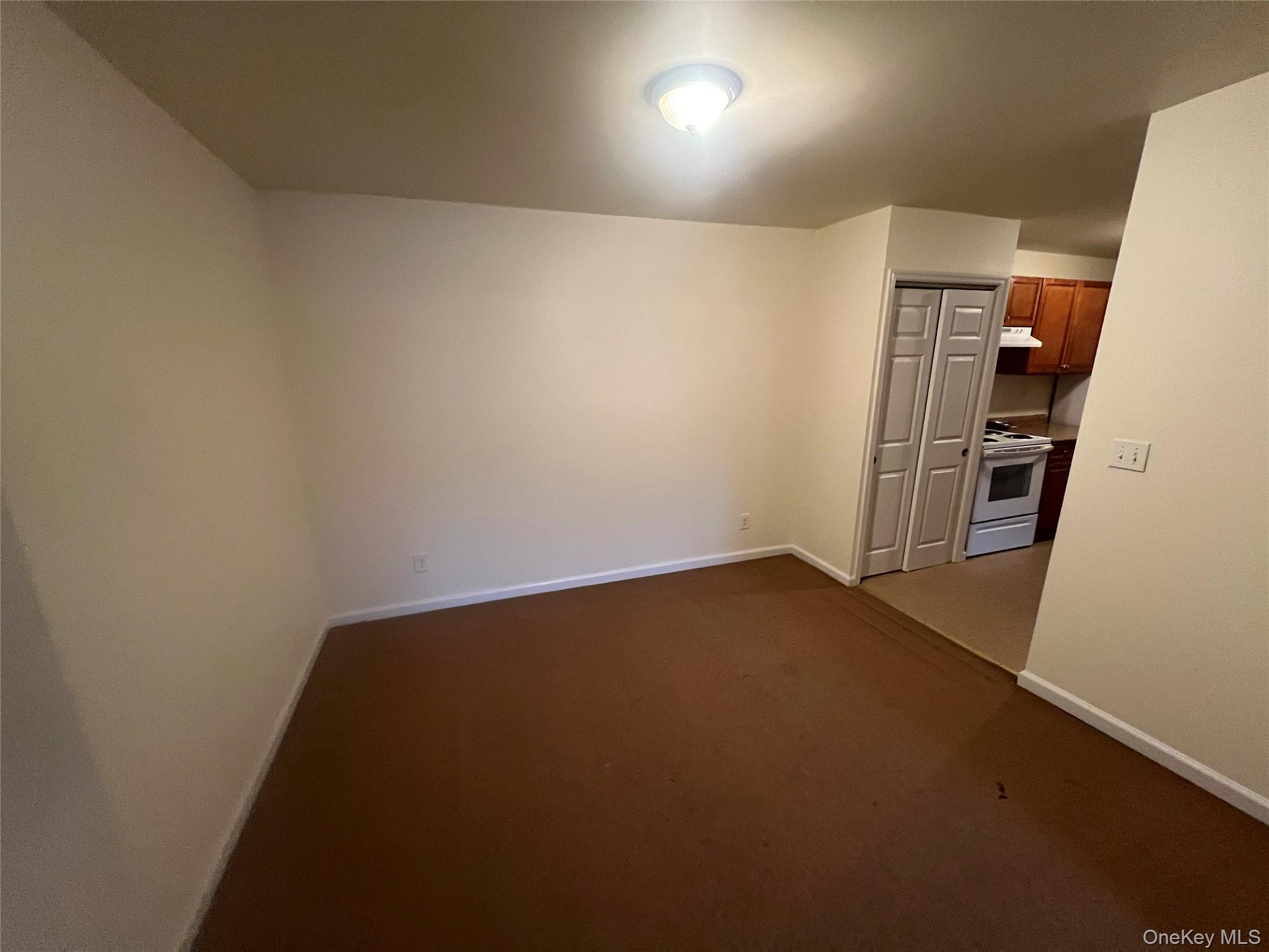 Condo Carpenter  Orange County, NY 12550, MLS-940777-5