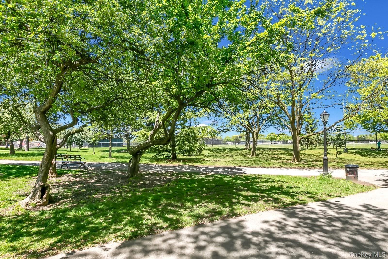 Single Family 83  Queens, NY 11379, MLS-940781-38