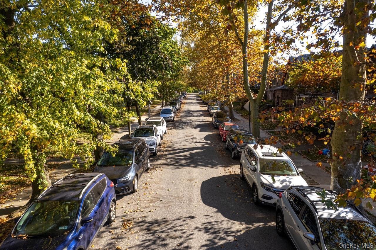 Single Family 83  Queens, NY 11379, MLS-940781-5