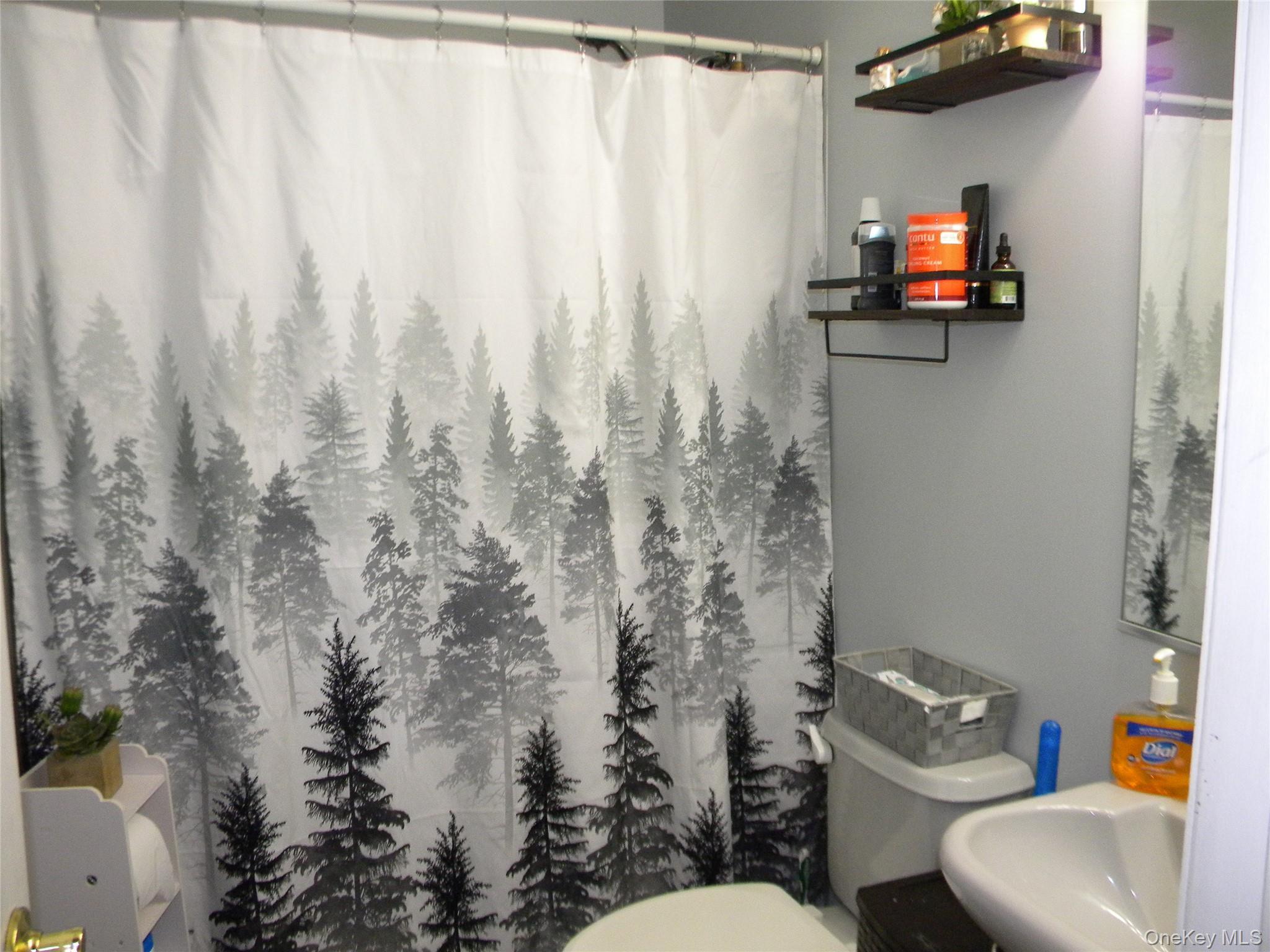 Single Family Evergreen Suffolk County, NY 11784, MLS-940787-15