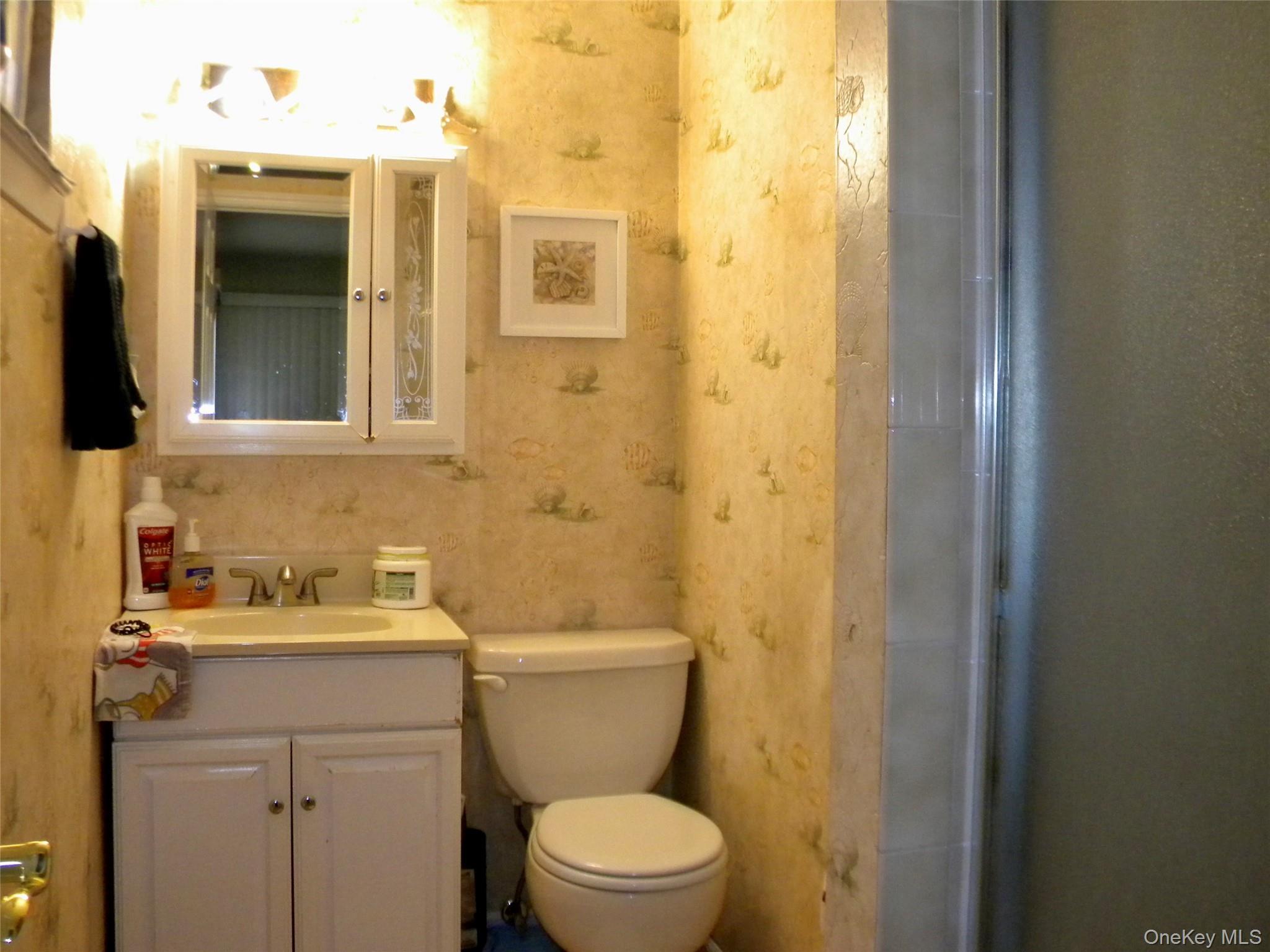 Single Family Evergreen Suffolk County, NY 11784, MLS-940787-17