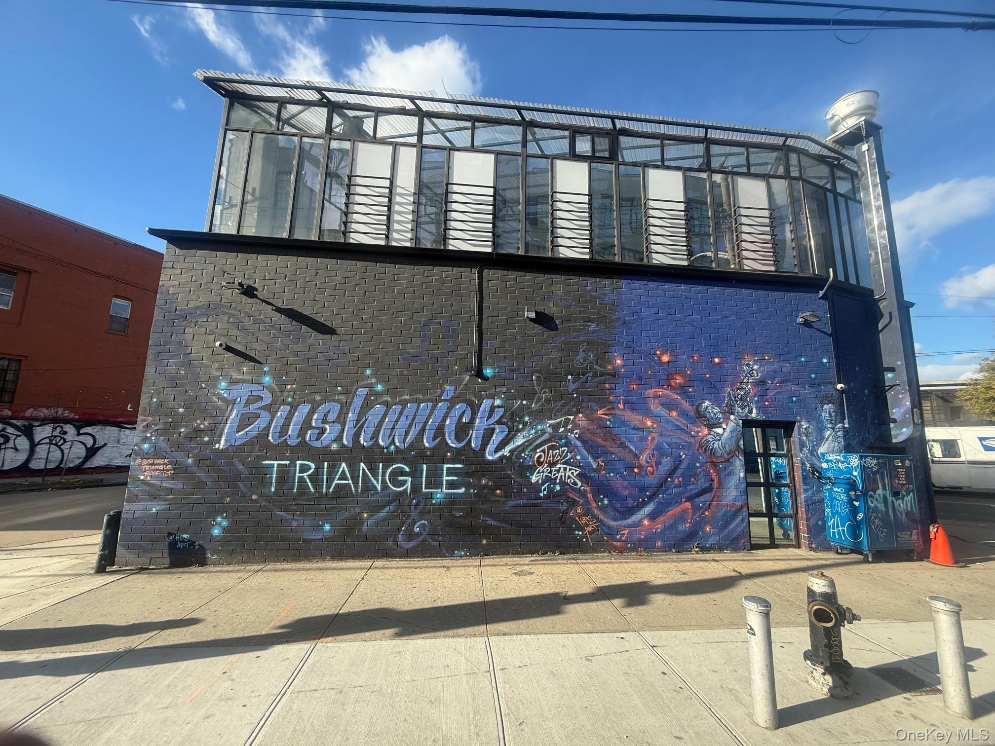 Business Opportunity Flushing Brooklyn, NY 11237, MLS-940850-2