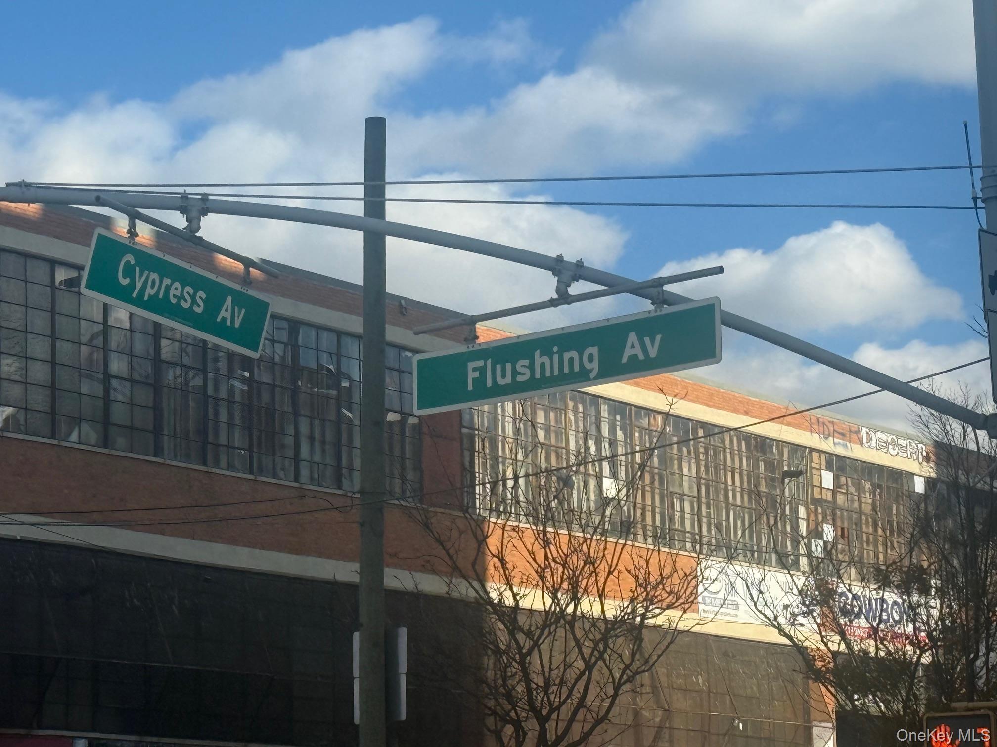 Business Opportunity Flushing Brooklyn, NY 11237, MLS-940850-3