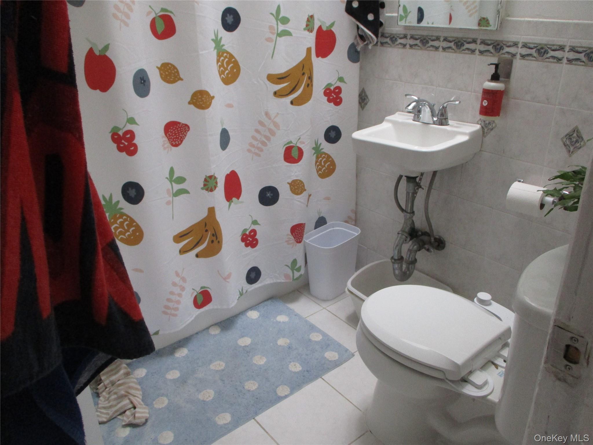 Single Family 21st  Brooklyn, NY 11215, MLS-940863-5