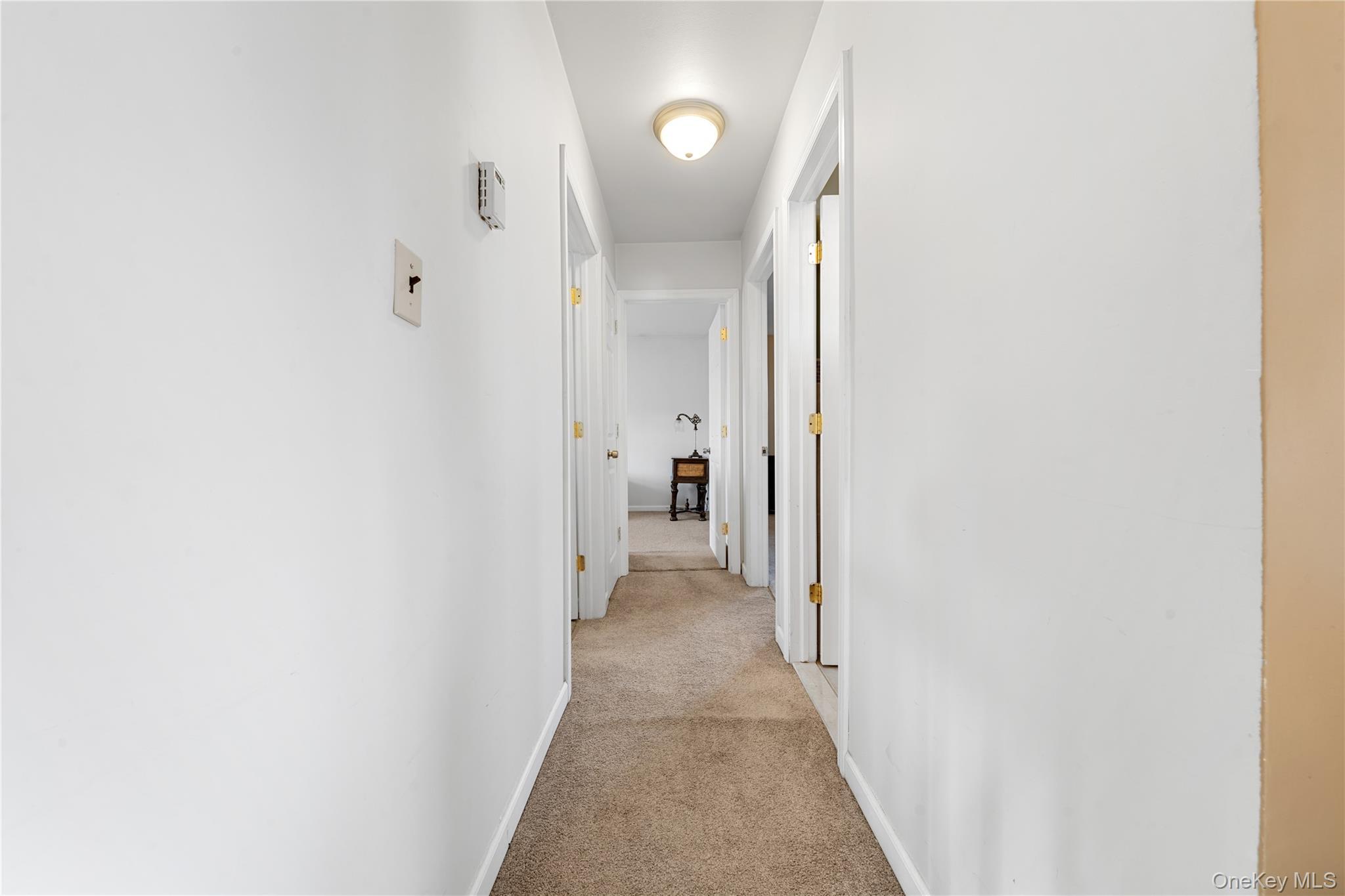 Single Family Mercury Suffolk County, NY 11772, MLS-940993-9