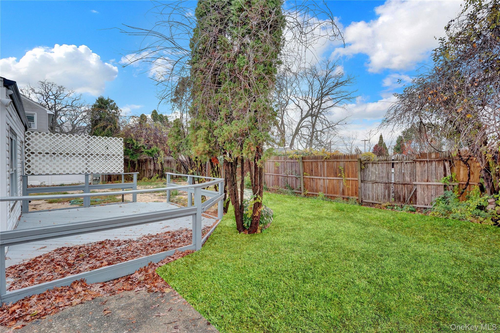 Single Family Carlls Suffolk County, NY 11703, MLS-941151-6