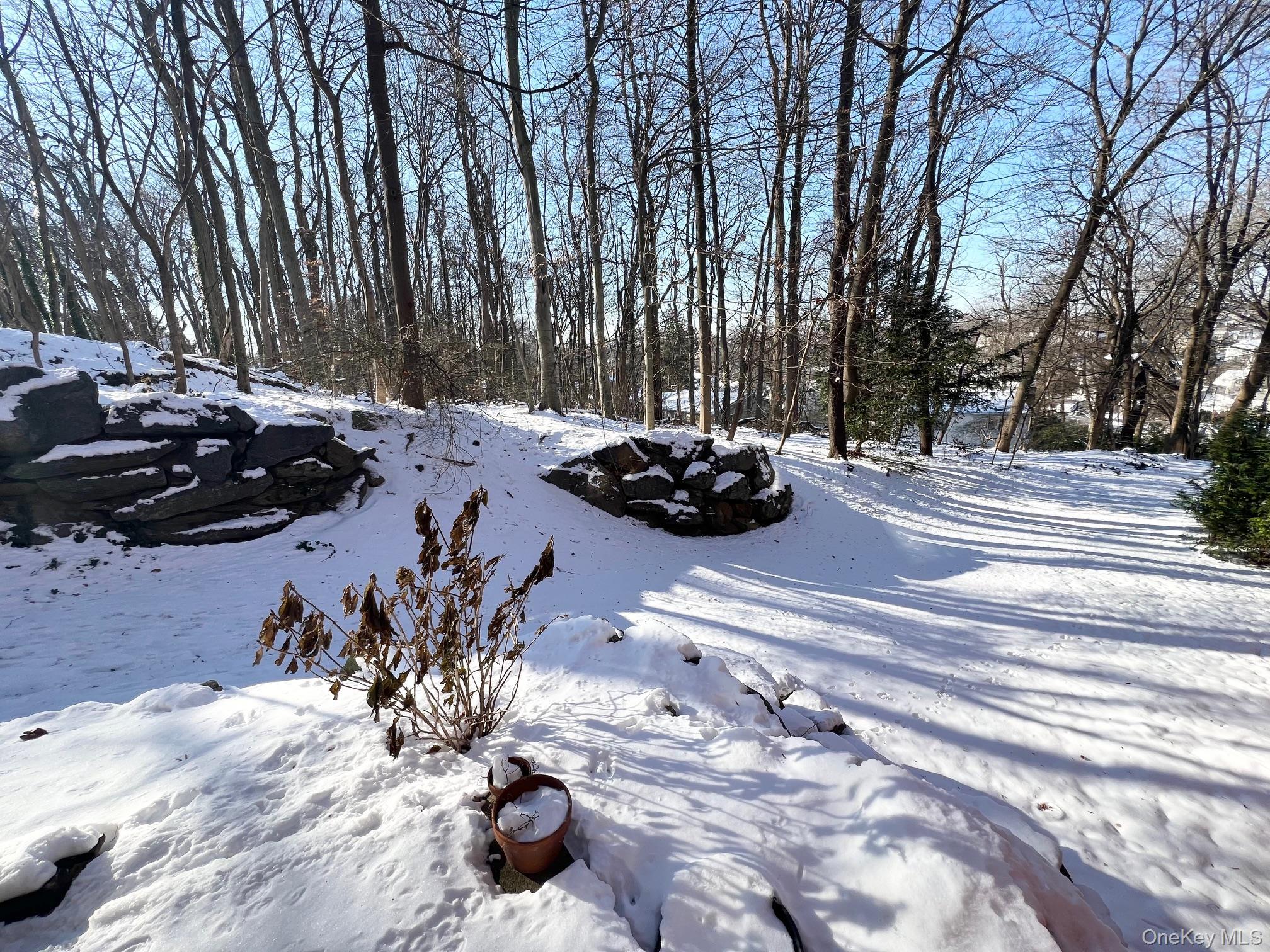 Condo Ray  Westchester County, NY 10583, MLS-941261-26