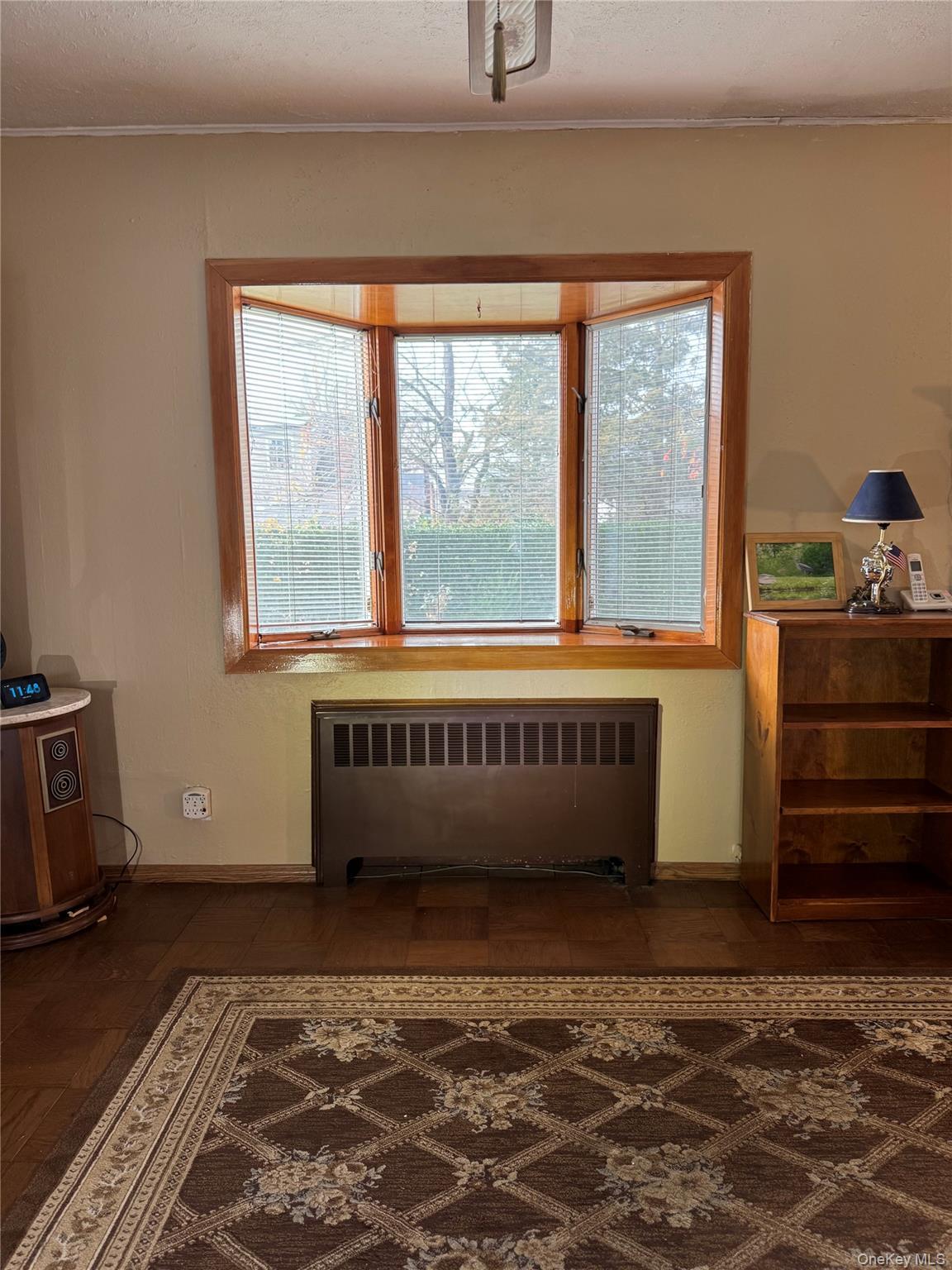 Single Family Scherer Nassau County, NY 11714, MLS-941347-7