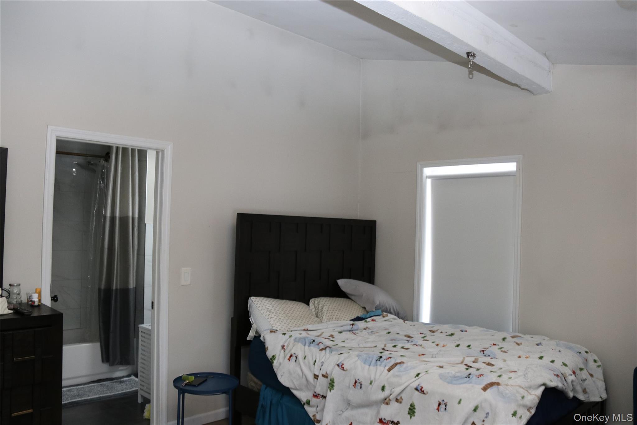 Single Family Peenpack  Orange County, NY 12780, MLS-941447-9