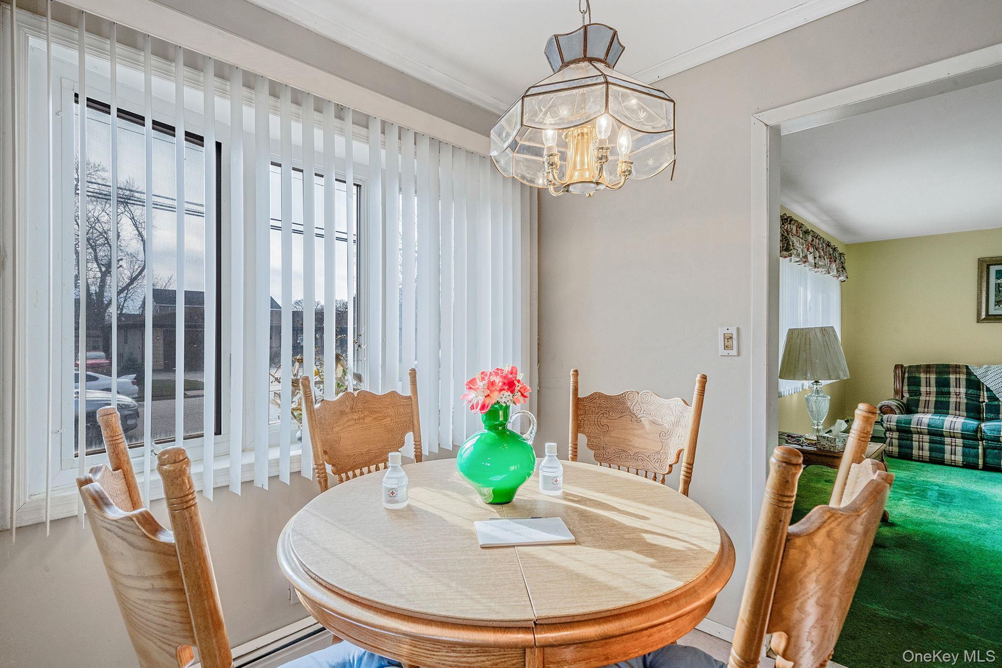 Single Family Oak Nassau County, NY 11758, MLS-941466-21