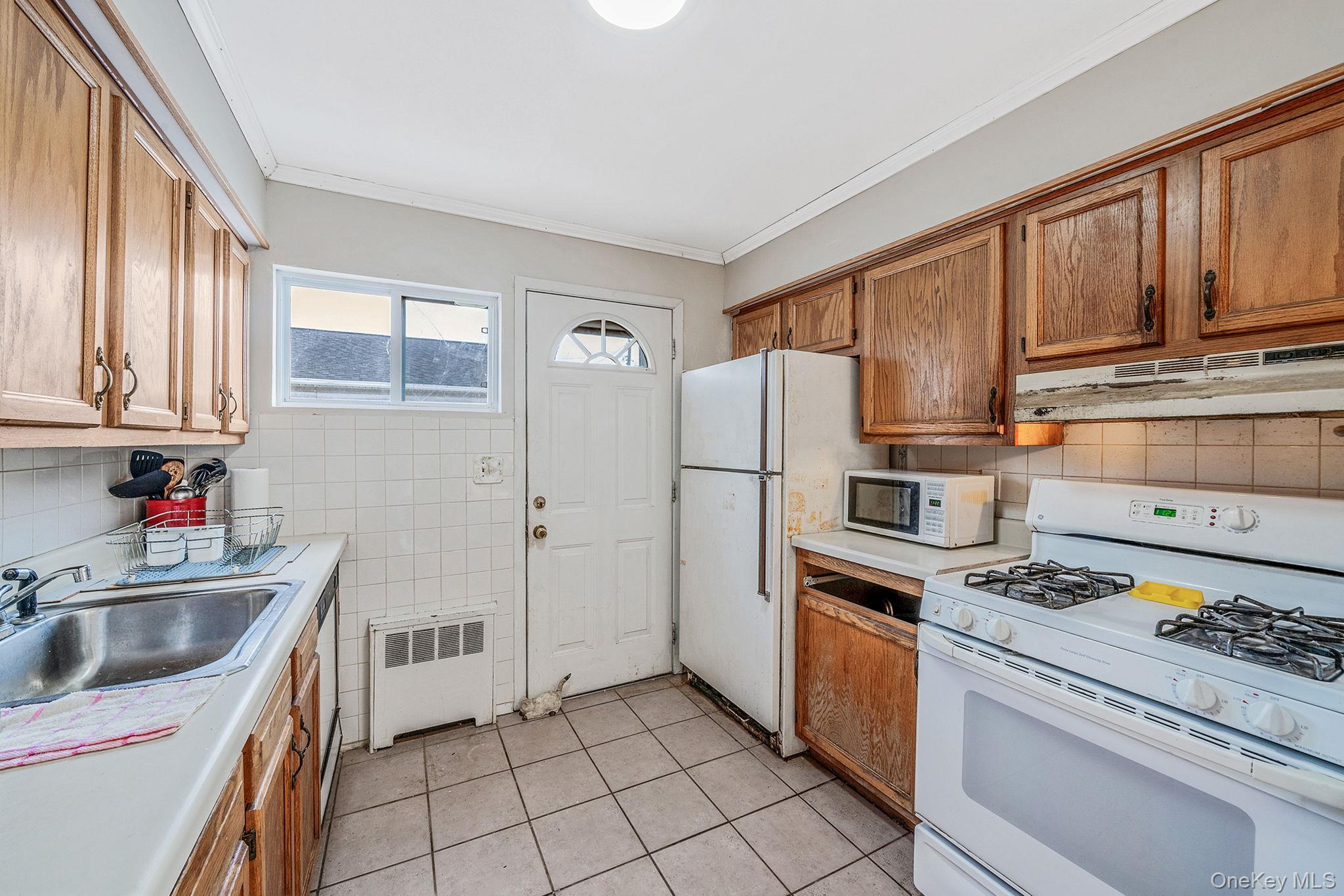 Single Family Oak Nassau County, NY 11758, MLS-941466-22