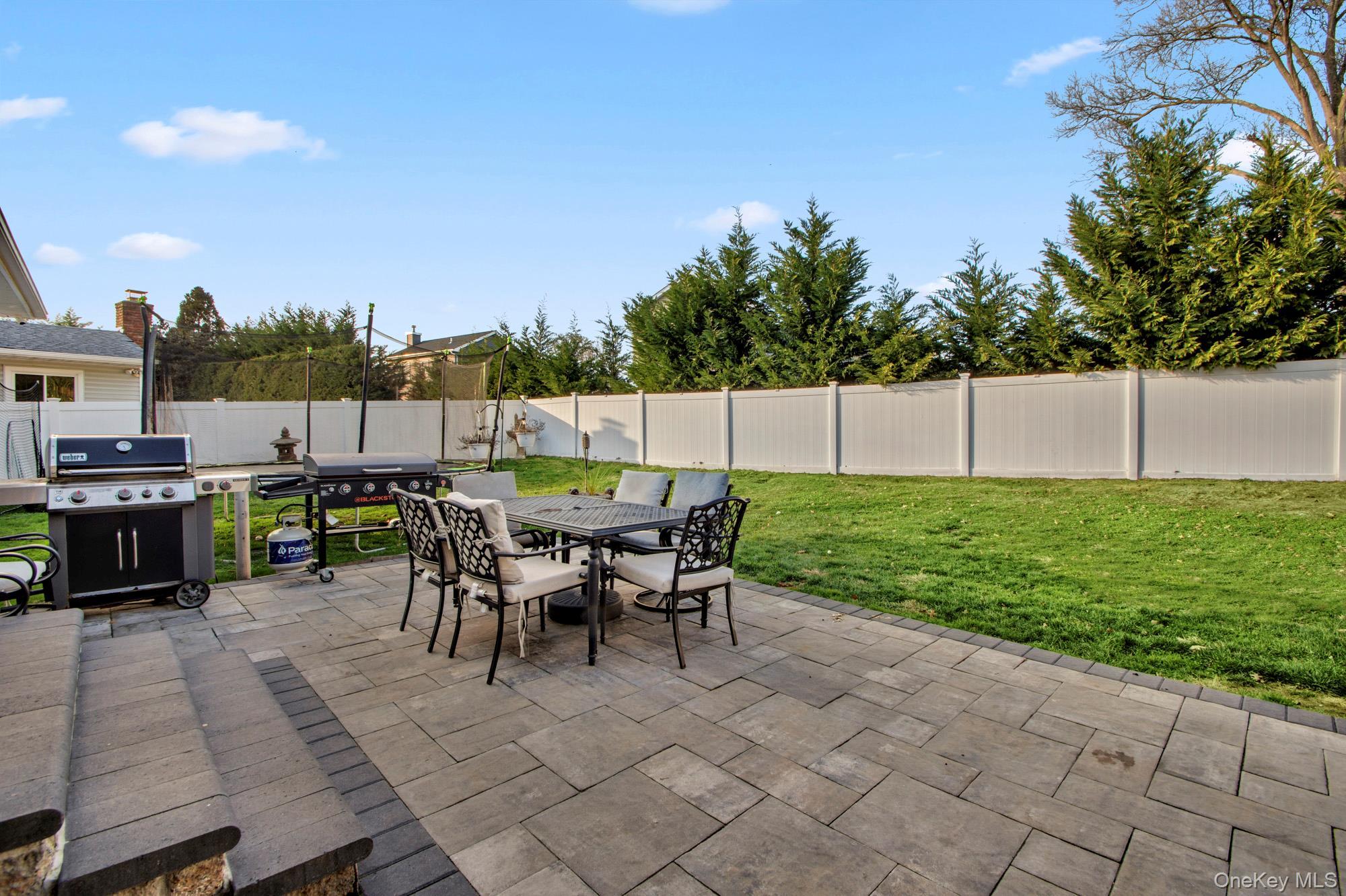 Single Family Redwood Nassau County, NY 11762, MLS-941551-23