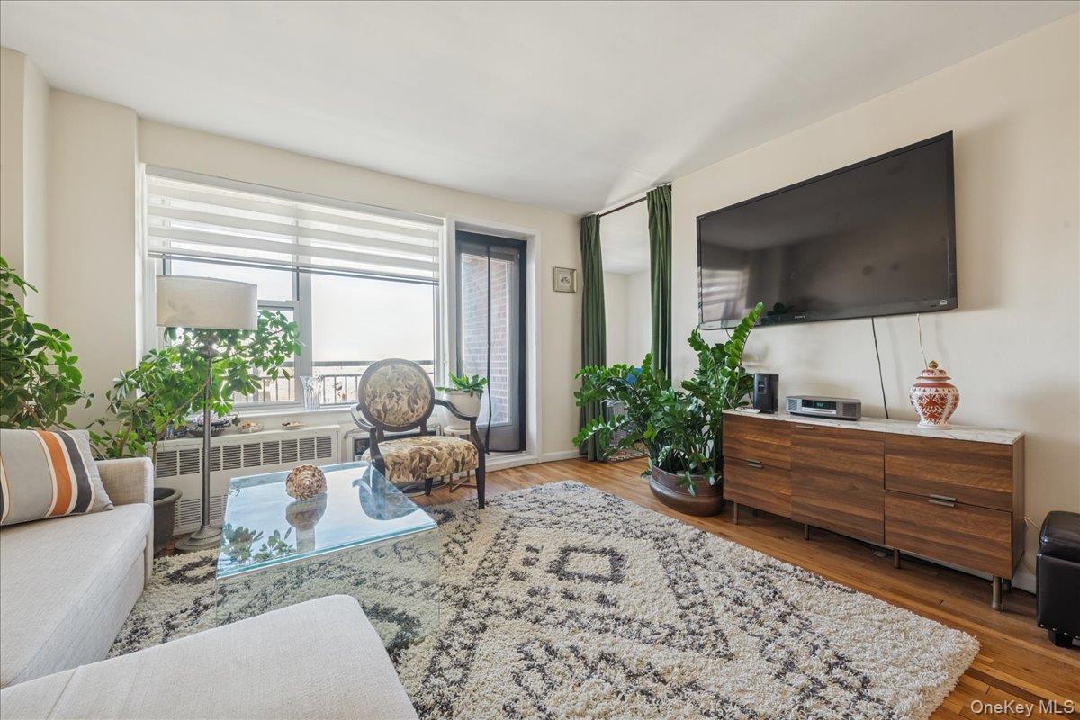 Coop Broadway  Nassau County, NY 11561, MLS-941593-7