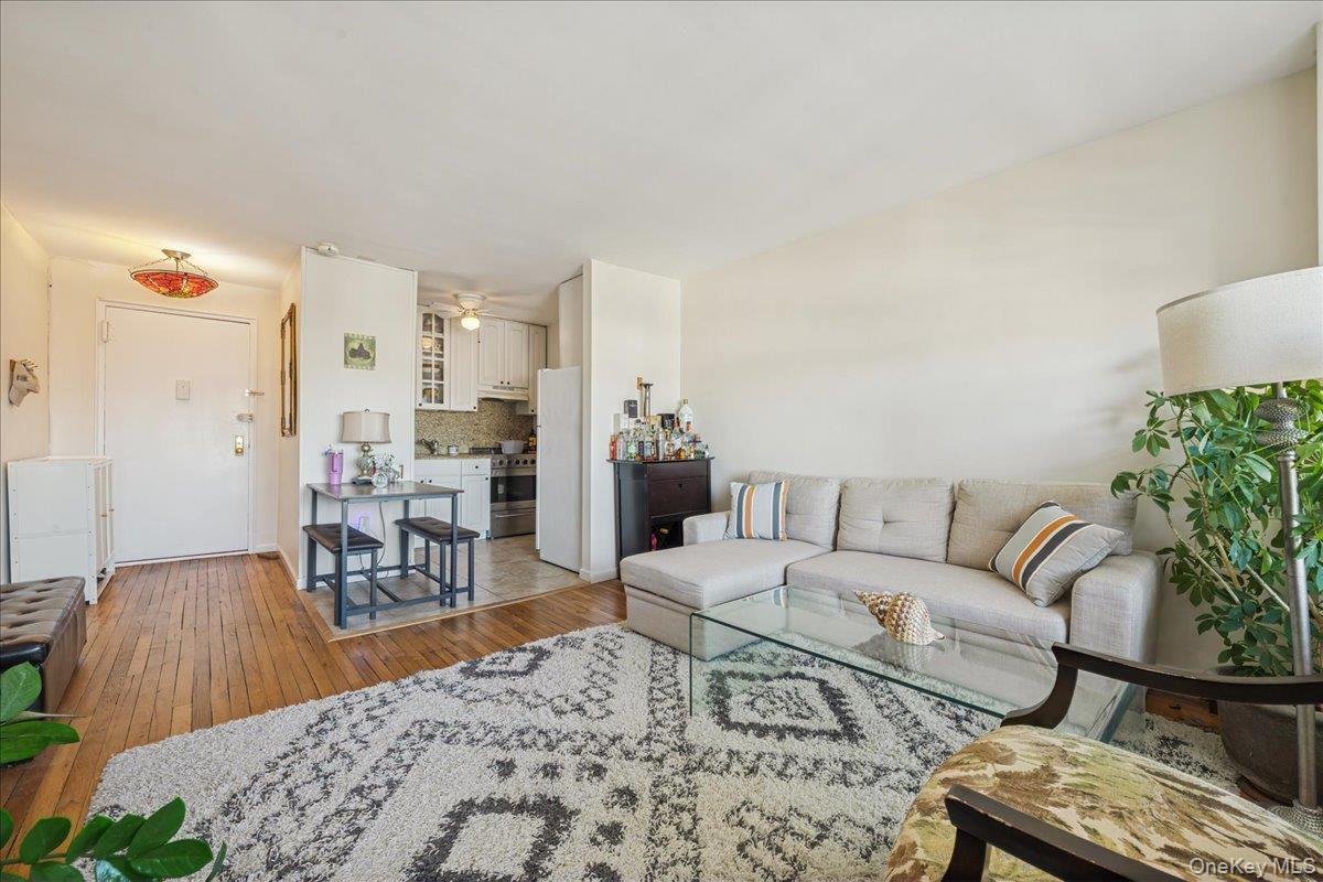 Coop Broadway  Nassau County, NY 11561, MLS-941593-8