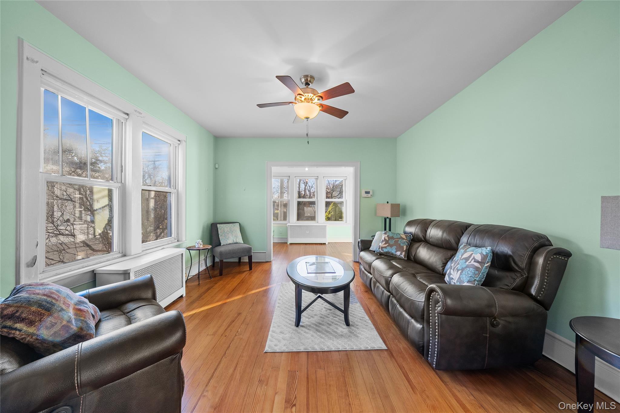 Single Family Grand Nassau County, NY 11510, MLS-941738-10