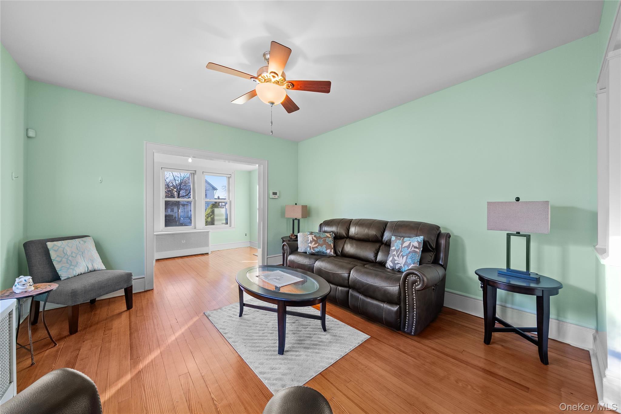 Single Family Grand Nassau County, NY 11510, MLS-941738-11