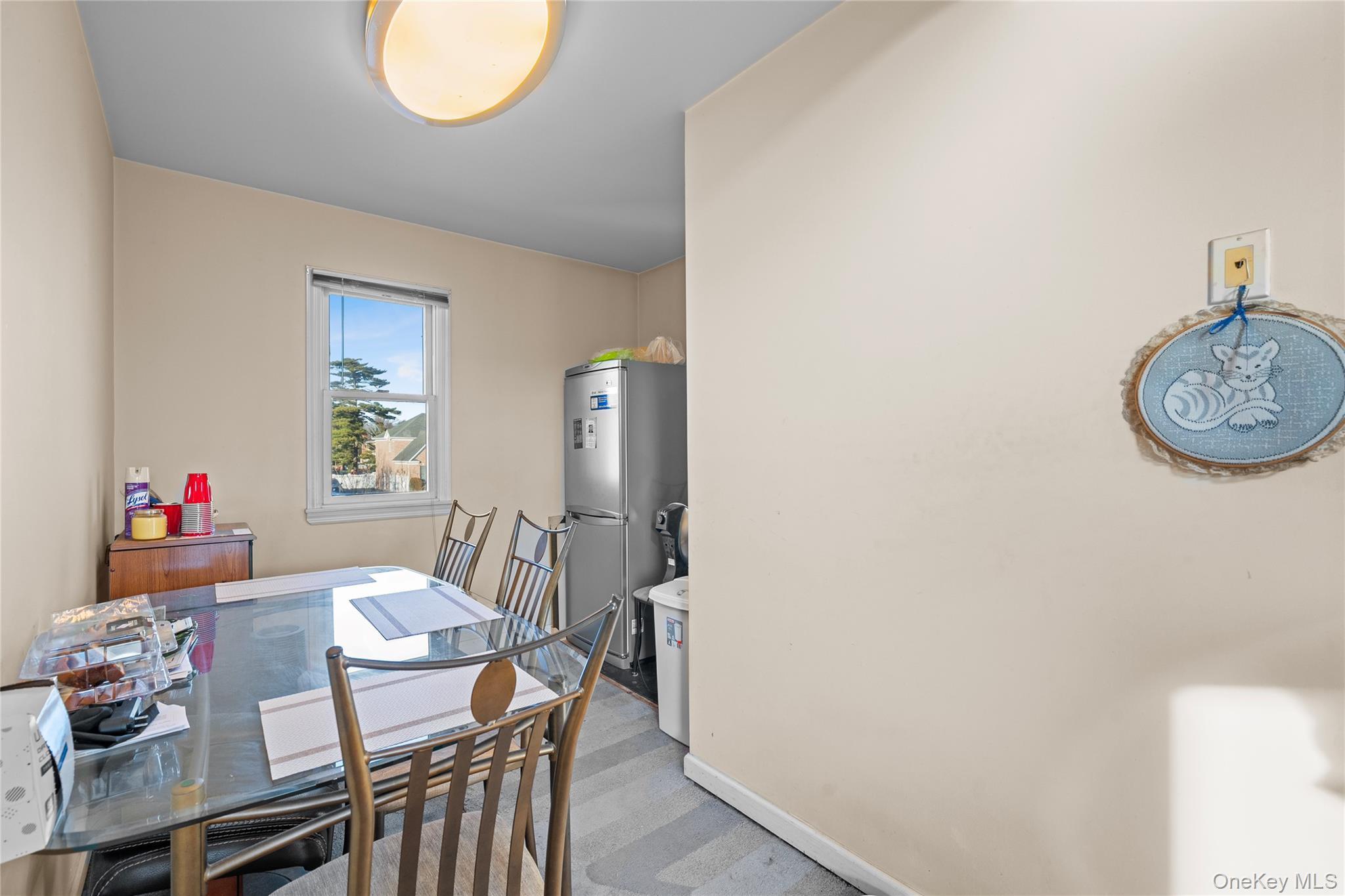 Single Family Grand Nassau County, NY 11510, MLS-941738-22