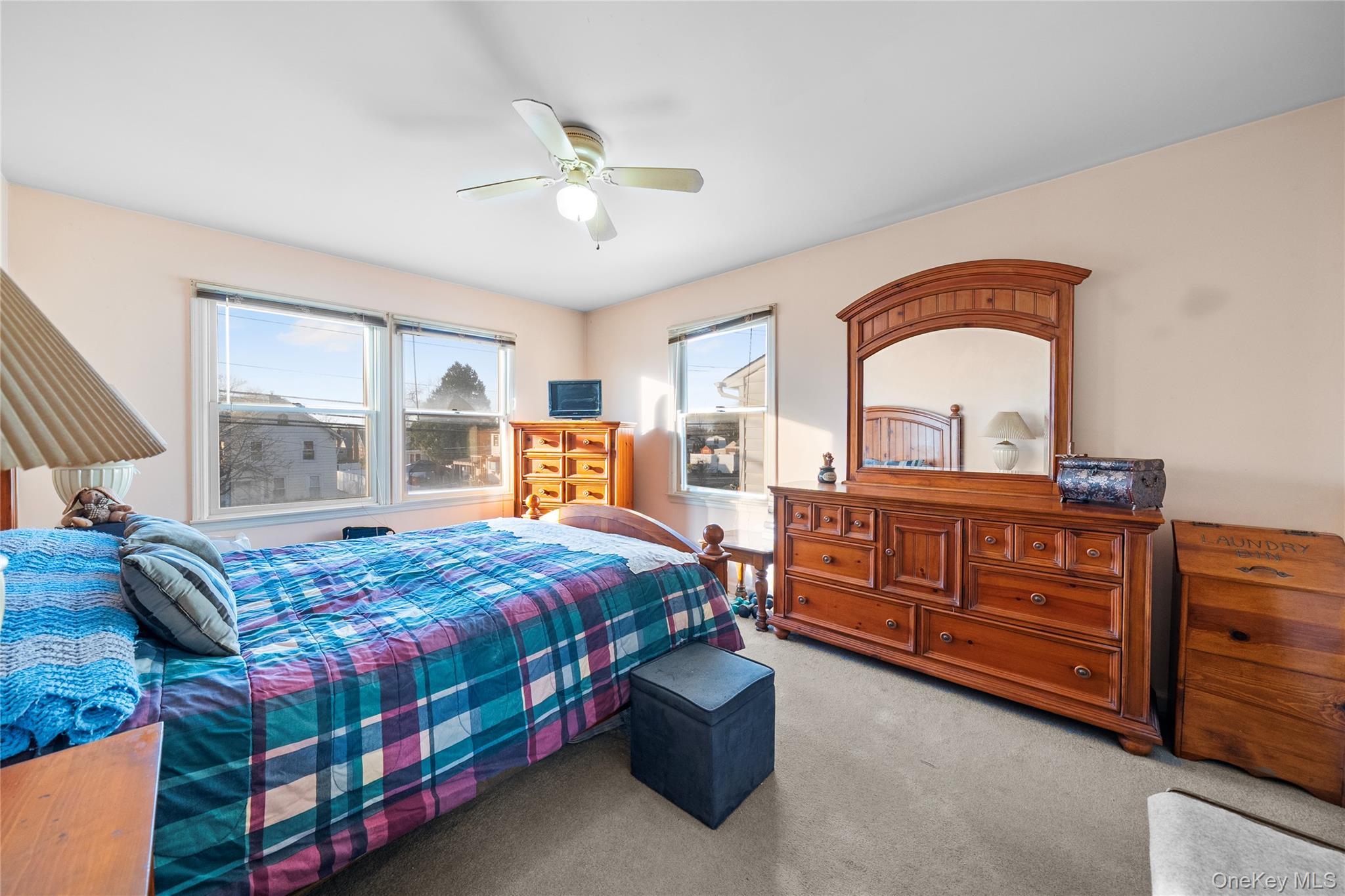 Single Family Grand Nassau County, NY 11510, MLS-941738-24