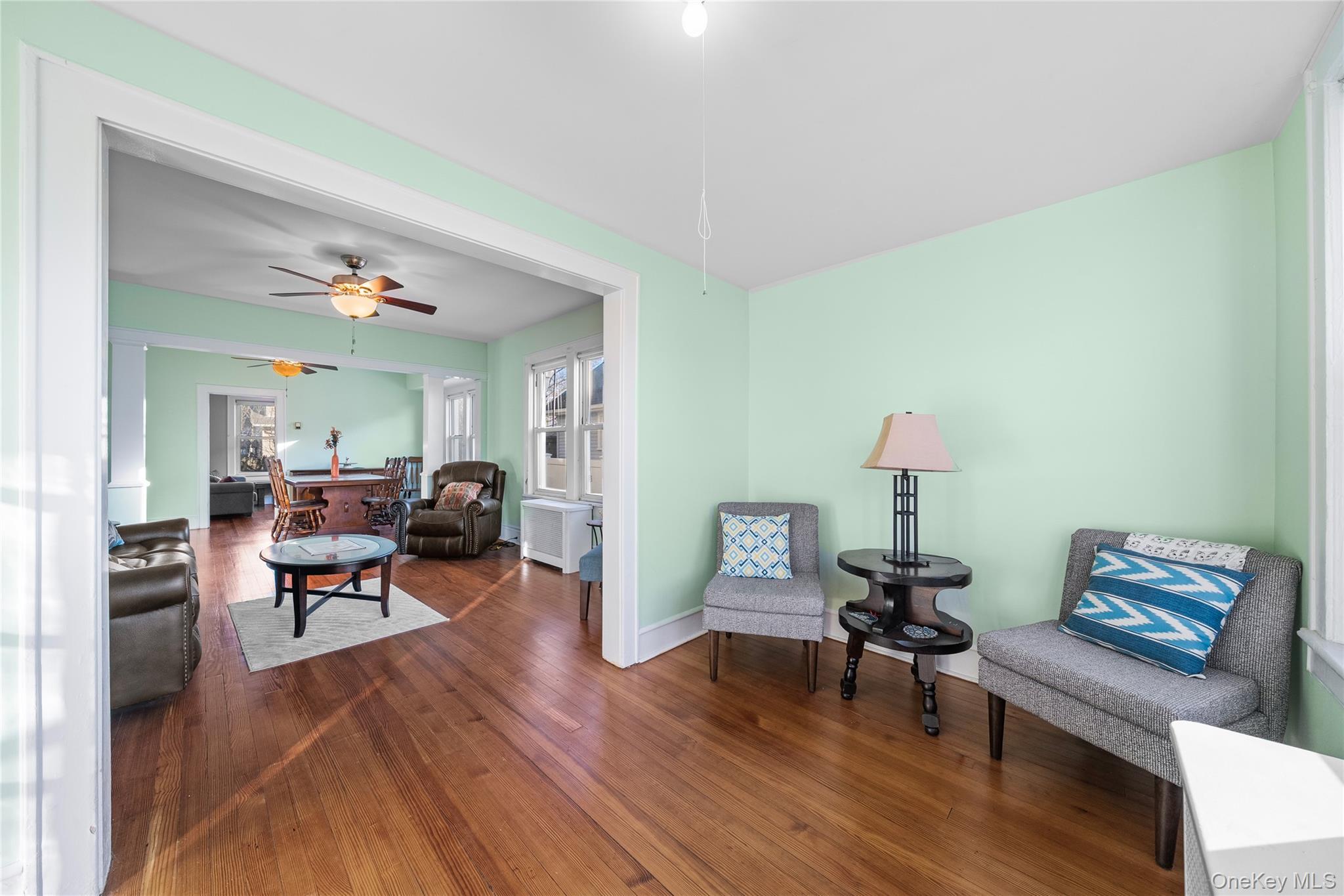 Single Family Grand Nassau County, NY 11510, MLS-941738-6