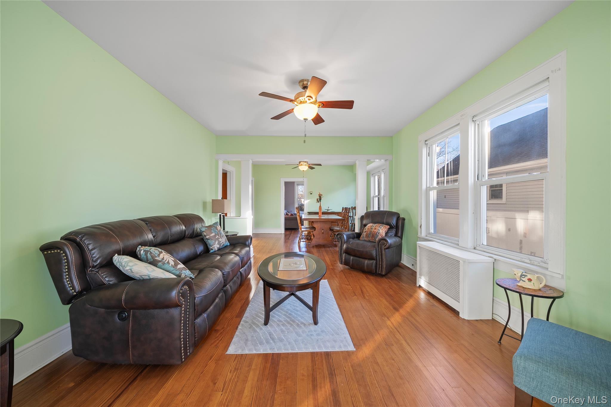 Single Family Grand Nassau County, NY 11510, MLS-941738-7