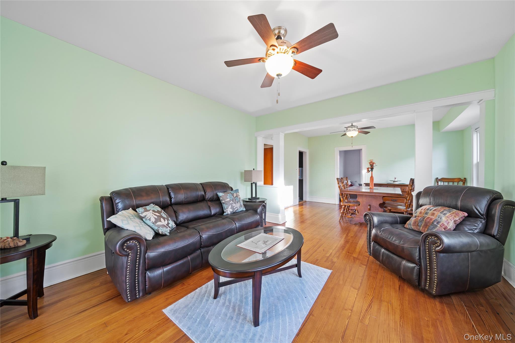 Single Family Grand Nassau County, NY 11510, MLS-941738-8