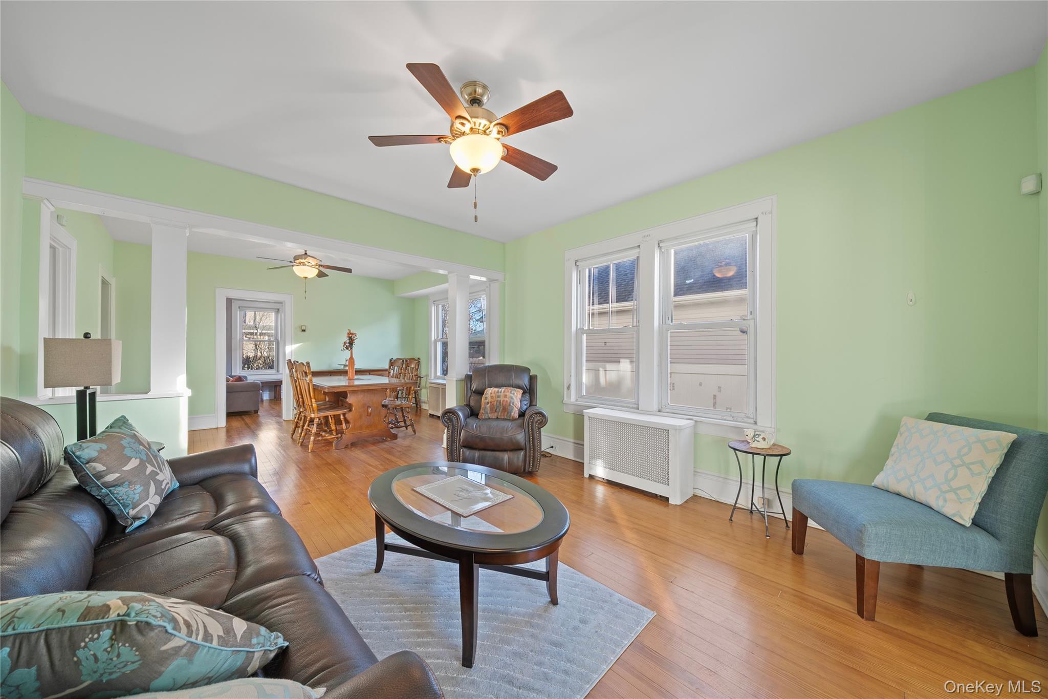 Single Family Grand Nassau County, NY 11510, MLS-941738-9