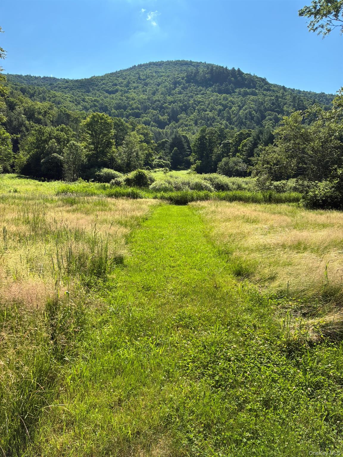 Single Family Harvard  Delaware County, NY 13756, MLS-941870-18