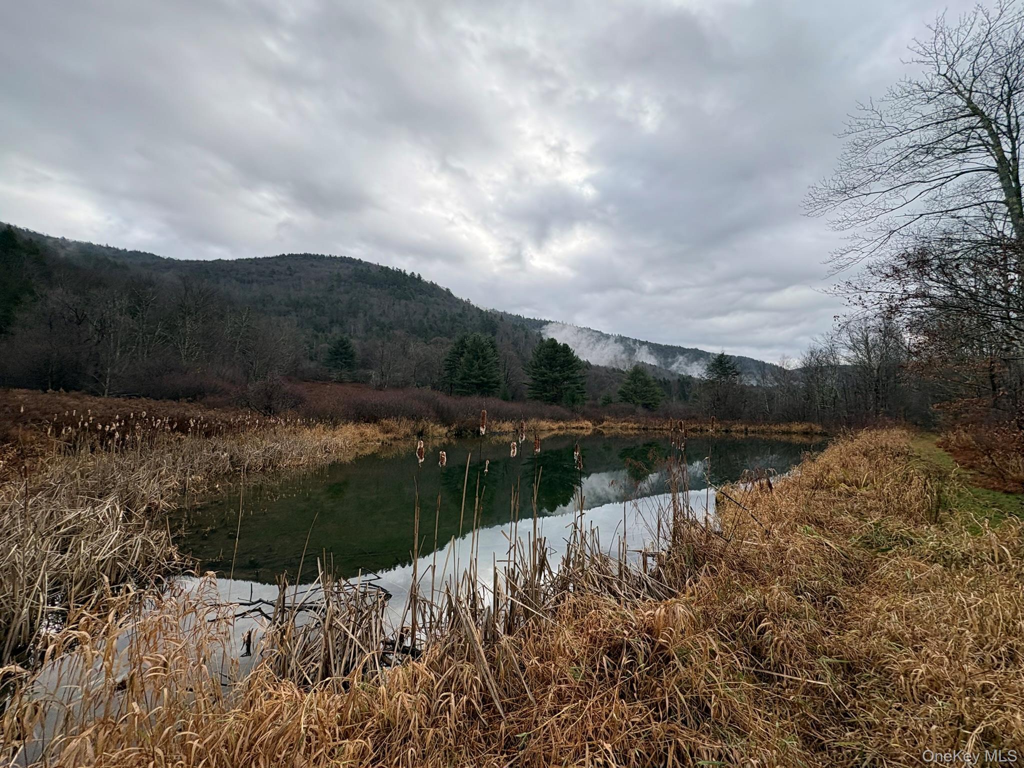 Single Family Harvard  Delaware County, NY 13756, MLS-941870-28