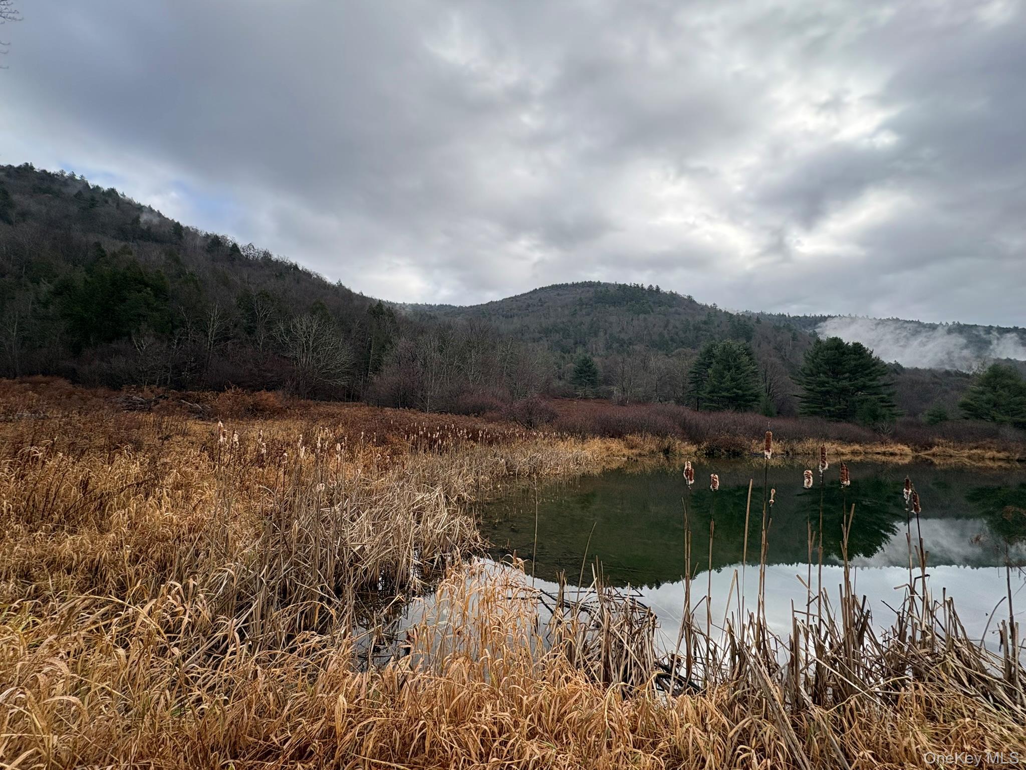 Single Family Harvard  Delaware County, NY 13756, MLS-941870-29