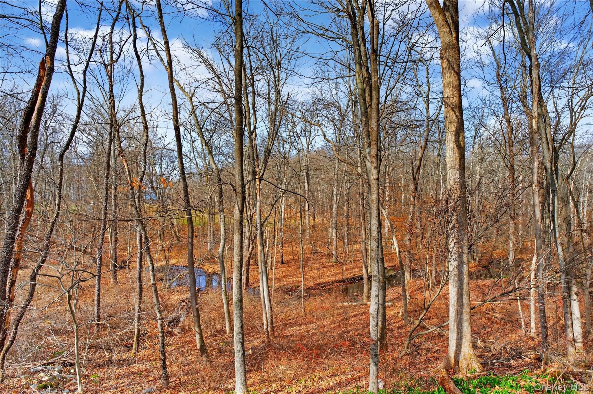 Single Family State Route 208  Ulster County, NY 12589, MLS-941932-19