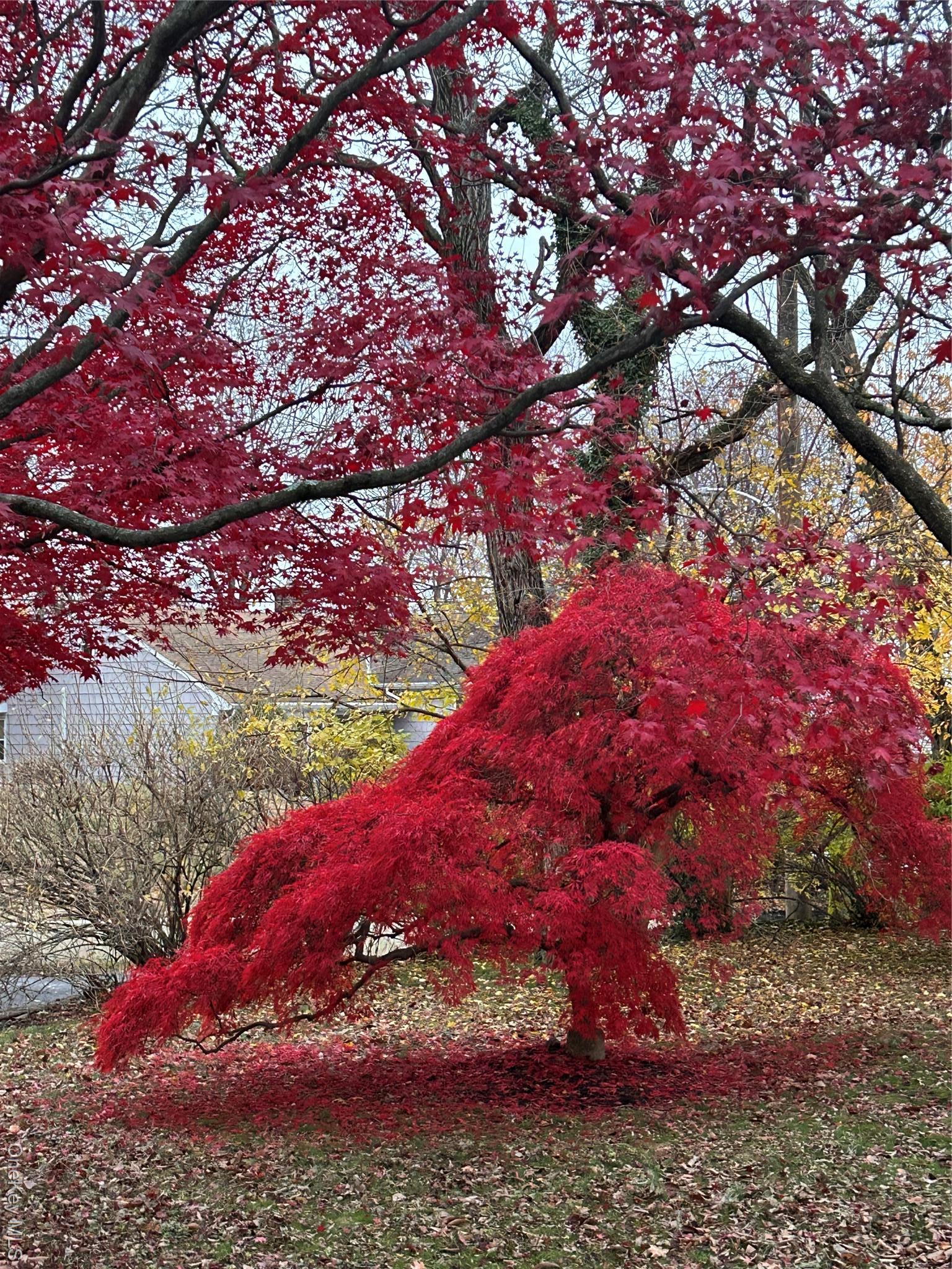 Single Family Oakridge Westchester County, NY 10573, MLS-942009-24