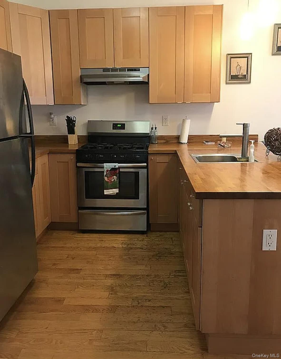 Single Family Richardson  Brooklyn, NY 11222, MLS-942049-8