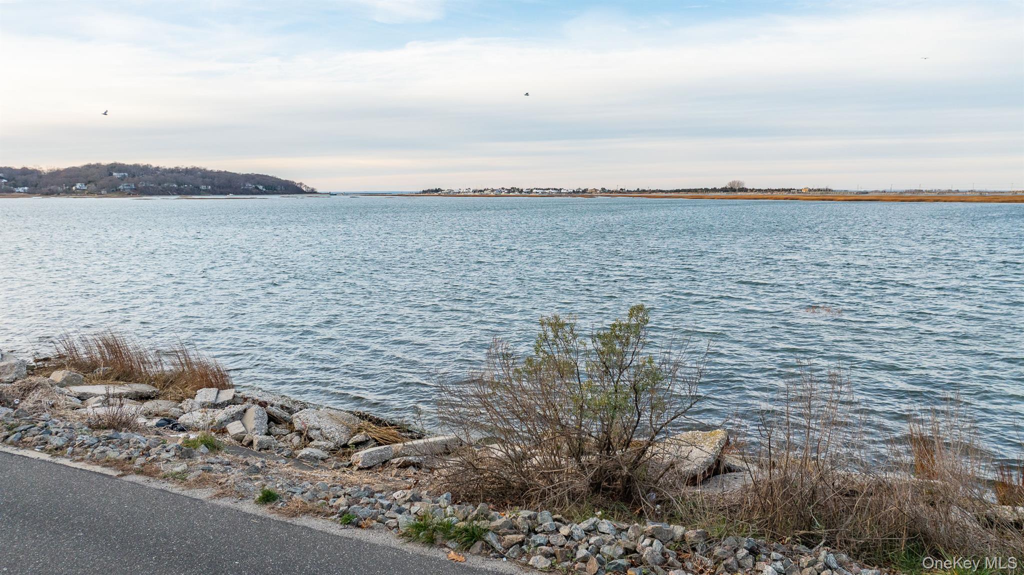 Single Family Birch Hill  Suffolk County, NY 11766, MLS-942244-36